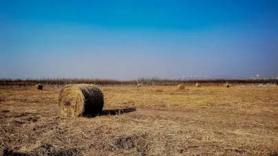 Casholot Casino Mobil App